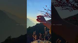  Tu Sabar To Kar Mere Yaar  Aesthetic  Status  Slowed Reverb alane  Arijit Singh Lofi Remix 