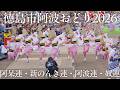 【阿波踊り2026】THE AWAODORI 2026 阿呆連・新のんき連・阿波連・奴連|特別観覧席から迫る熱演 | Awaodori in Tokushima, Japan