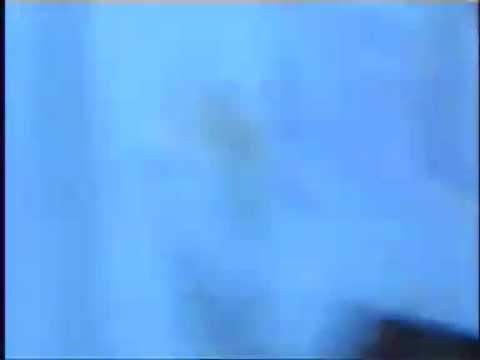 افرح باسات احمد قاسم ابكر 