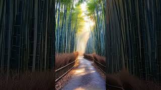 Walk with me in Kyoto’s Arashiyama Bamboo Forest  #virtualtravel #pov #shorts #japan #relaxing
