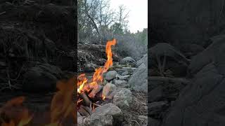 The most relaxing sounds in the world. #asmr #asmrcamp #asmrsounds #asmrfireplace