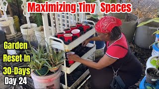 D24: Cheap & Simple DIY Herb & Veggie Garden Idea For Small Spaces!
