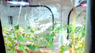 XCON JOHN is live!