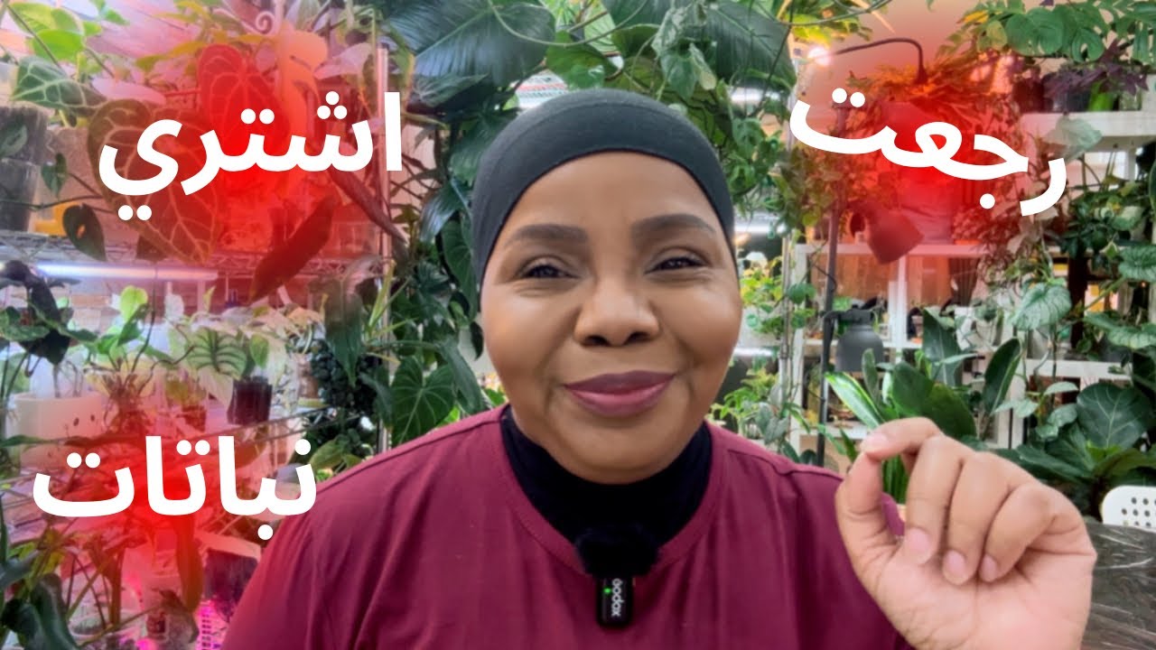 شريت نباتات جديدة 🙈 وراح أقولكم ليش!