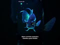 RECIFES PROFUNDOS #VidaMarinha #Ciência #Recifes #Peixes #Natureza #Oceanos #BiologiaMarinha