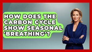 How Does The Carbon Cycle Show Seasonal 'breathing'? - Explaining Ecology