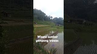 Silvy Kumalasari Bukit Berbunga