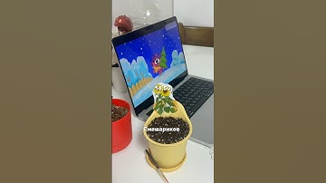 Найдите 3 ошибки 😭 #modelife #модель #modelife #modelling #models #моделинг #корея #seoul