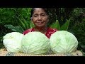 Village Foods – Cabbage Rolls prepared in my Village by my Mom