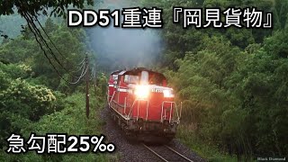 【DD51重連】4400馬力、急勾配の峠に挑む【DML61Zの咆哮】
