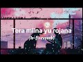 Tera milna yu rojana bollywood songs lofi reverb