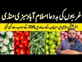 Vegetables became very cheap today  5 april 2024  sabzi mandi islamabad  fruit and vegetables