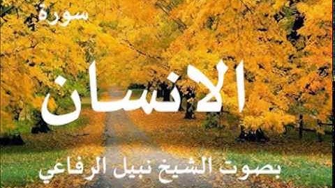 سورة الانسان بصوت الشيخ / نبيل الرفاعي 76