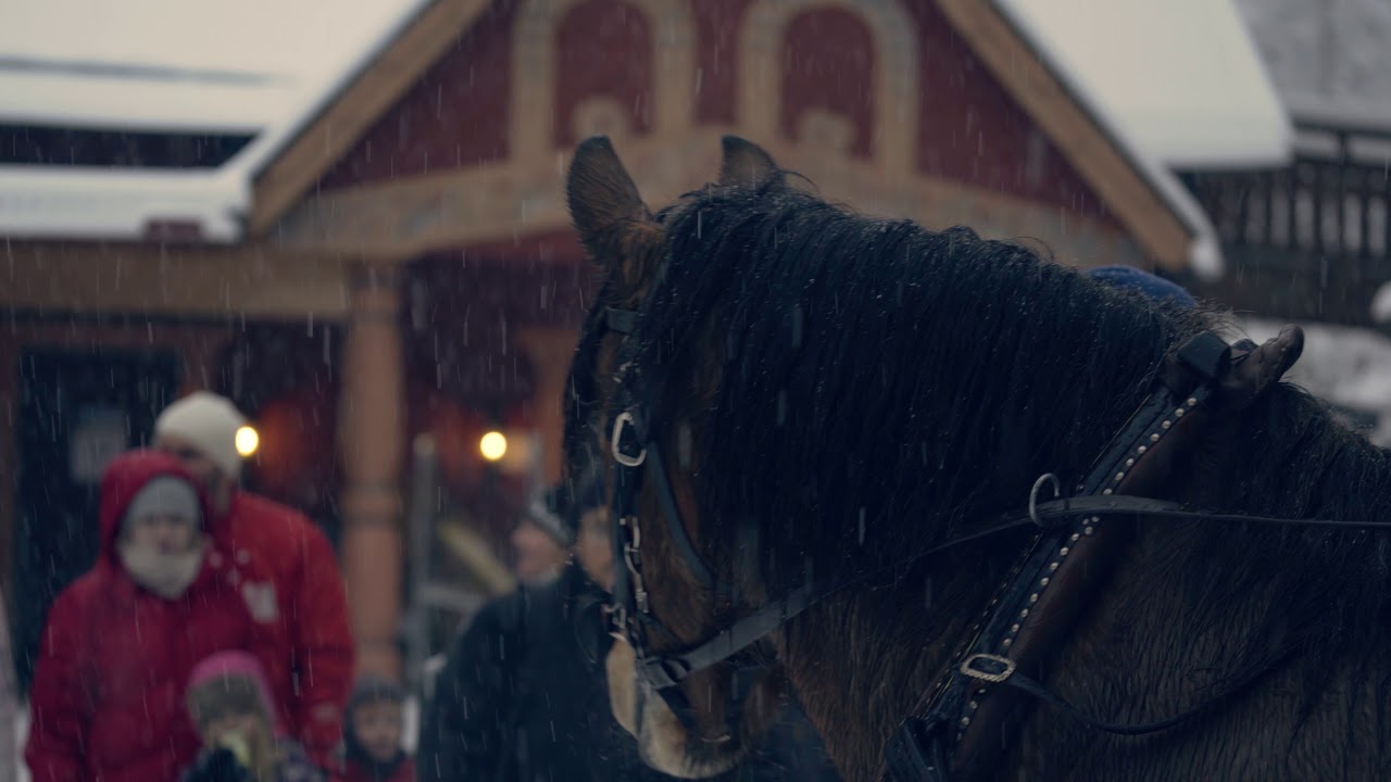 Merry Christmas from Santa Tomteland Mora Sweden