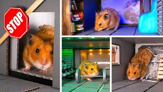 怎樣用硬紙板製作安全的倉鼠庇護所