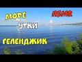 ГЕЛЕНДЖИК 2021 МОРЕ УТКИ И ПОЛНЫЙ РЕЛАКС walk by the sea