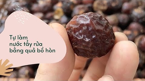 #1. Tự làm nước tẩy rửa thiên nhiên bằng quả bồ hòn dùng trong 1 tuần | Happylife Home