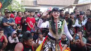 Video singkat story wa aya chikamatzu