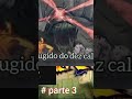 4 de maio de 2025