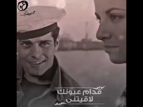 قدام عيونك لقيتني عمرو دياب حاله واتس