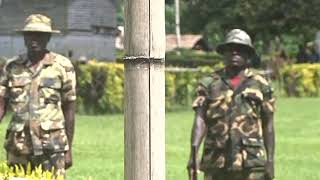 The Ultimate Breakthrough in Finance!