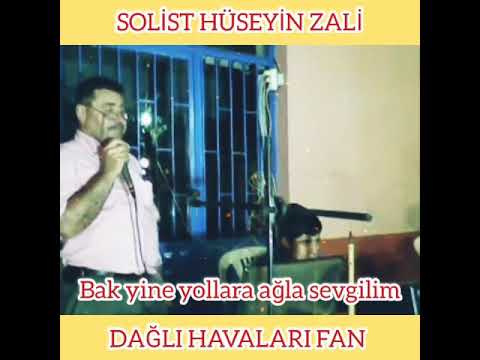 Hüseyin ZALİ (BAK YINE YOLLARA AGLA SEVGILIM)