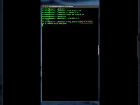 Linux Shell Script - How to run a shell script in the background #016 #shorts