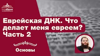 Еврейская ДНК. Что делает меня евреем? Часть 2 | Основы