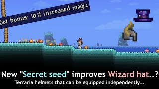 Terraria with helmets those don't fit with other ─ What are those anyway?