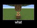 Minecraft wait what meme part 57 (armor stands in tree)