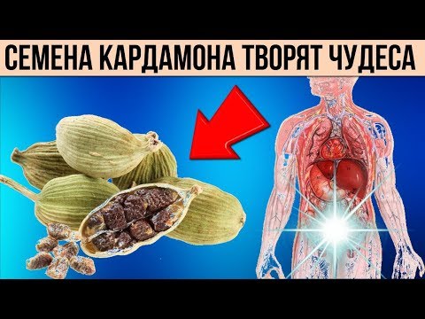 Что будет с Организмом если Есть семена Кардамона Невероятная польза этой специи для Здоровья