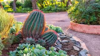 Front Yard Desert Landscaping Ideas On A Budget