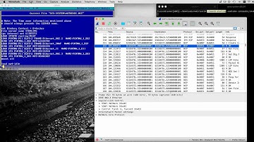 Novell NetWare 4 IPX traffic capture with QEMU and VDE