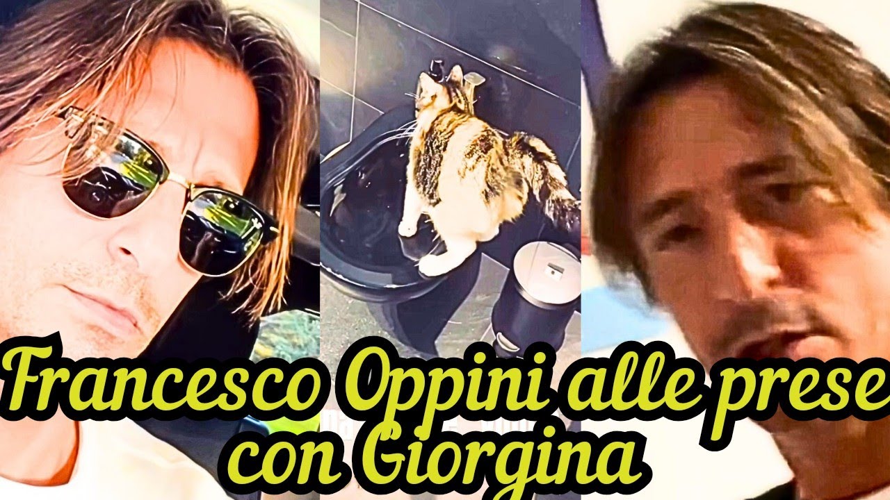 FRANCESCO OPPINI alle prese con la gatta dispettosa 🐈