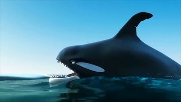 CÁ VƯỢT NGƯỢC DÒNG LÀ CÁ SỐNG NGƯỜI VƯỢT NGHỊCH CẢNH NGƯỜI THÀNH CÔNG