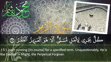 الشيخ محمود هاشم - سورة الزمر من الآية 1 إلى الآية 40