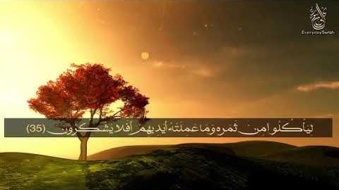 سورة ياسين  يس  كامله بصوت هادي تلاوه خياليه تريح القلب ❤ والعقل Surah Yasin