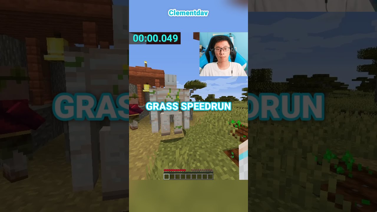 Minecraft Touch Grass Speedrun Set Seed 