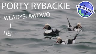 Porty rybackie Władysławowo i Hel