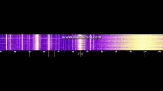 DCF-77 on CW Mode Time Signal