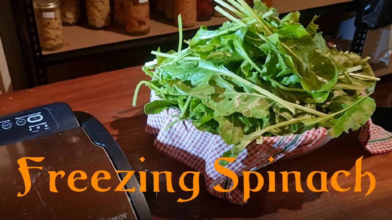 Freezing spinach in vacuum seal bags YouTube