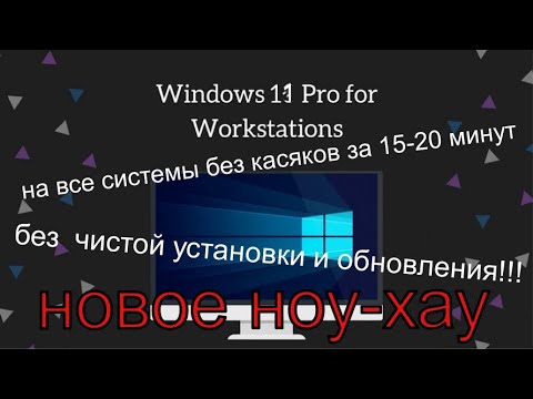 Win -11Pro for