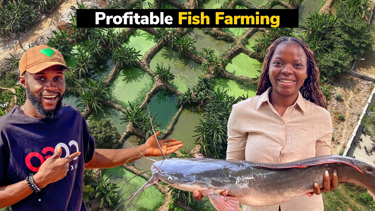 Как эта нигерийская женщина основала прибыльную рыбную ферму в Африке