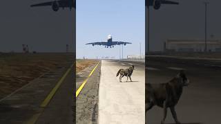 When Animals Enter Runway 😨 Husky Creates Emergency! GTA 5