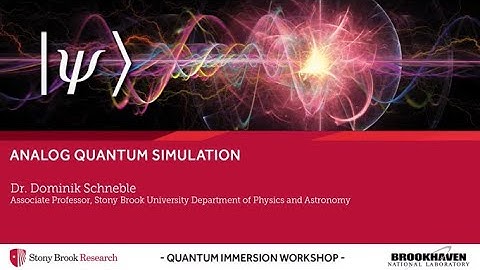 Analog Quantum Simulation | Dr. Dominik Schneble