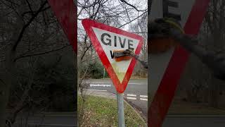 Clean up of Epping forest