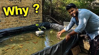 Big Problem! Sab Fish Ek Tank Mein Dalni Padi 😱#fish #fishing #fishtank #fishpond 