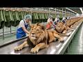 How Lion Leather Becomes Million-Dollar Luxury  | Inside the Secret Factory Process