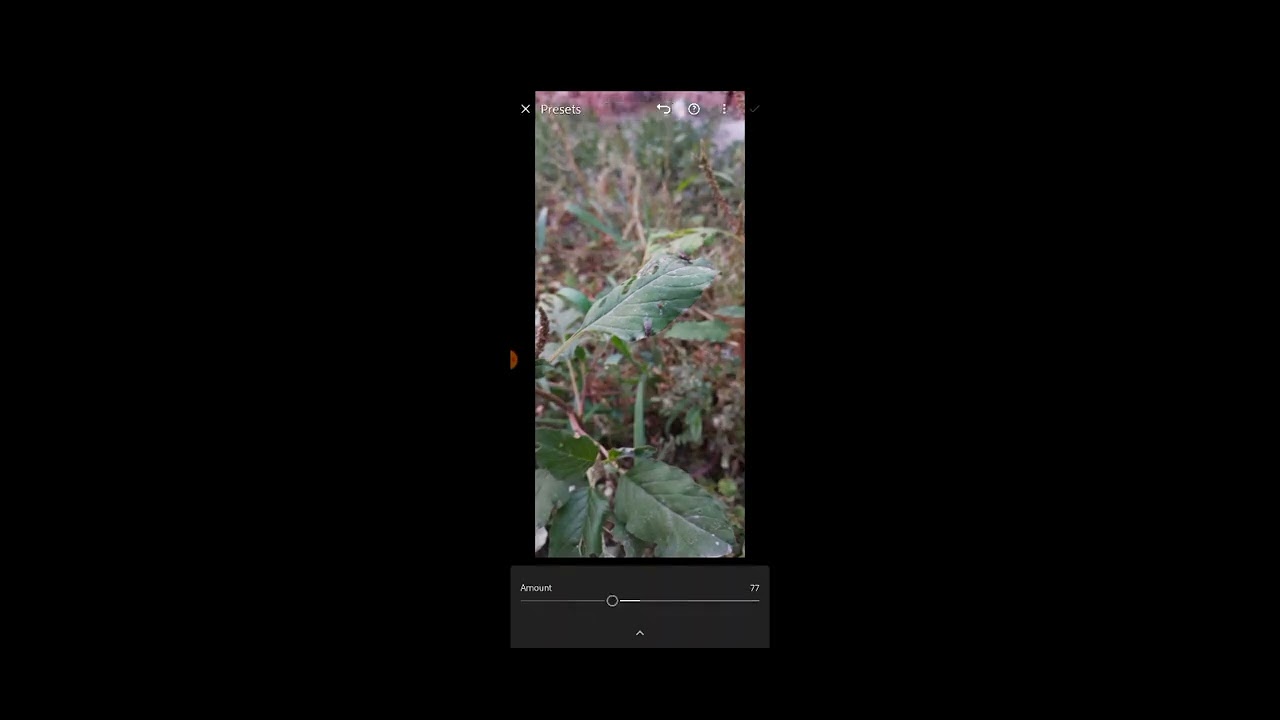 How To Edit Professional Photos In Adobe Lightroom Mobile App YouTube how-to-edit-professional-photos-in-adobe-lightroom-mobile-app-youtube
