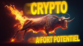 💎 des Crypto à fort potentiel pour le Bull Run 2024 💎